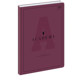 Brulion Interdruk ACADEMY A5 96k. 90 g krata (5902277299260)