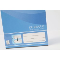 Zeszyt Rexus do nauki pisania 1 A5 16k. 80g linia (605428)