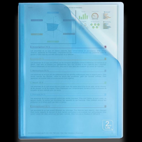 Album ofertowy Elba 2Life A4 40 kieszeni (400059343)