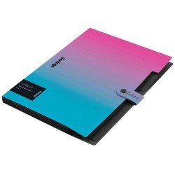 Teczka z przegródkami Berlingo Radiance A4 5 przegródek (4260709080215)