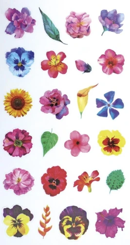 Naklejka (nalepka) Titanum Craft-Fun Series Kwiaty (FZH FLOWERS1)