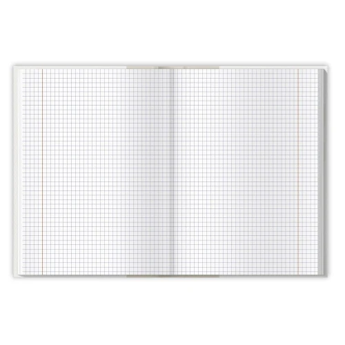 Brulion Top 2000 tematyczny fizyka A5 80k. 70g krata (400168955)