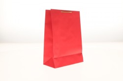 Torba prezentowa Paw 225mm x 315mm x 100mm (t-2 eko)
