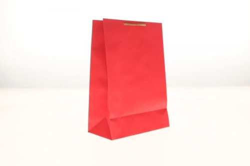 Torba prezentowa Paw 225mm x 315mm x 100mm (t-2 eko)
