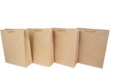 Torba prezentowa Rozette kraft [mm:] 160x260x 80 (2 średnia)