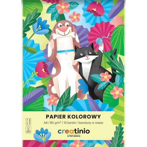 Papier kolorowy Top 2000 Creatinio A4 - mix 80g (400176684)