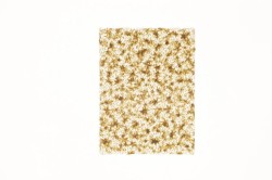 Torba prezentowa torebka BN folia [mm:] 130x175 (S1)