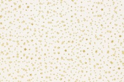 Torba prezentowa torebka BN folia [mm:] 400x500 (S13)