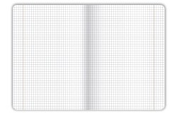 Zeszyt OCEAN A5 32k. 70g krata Top 2000 (400182343)
