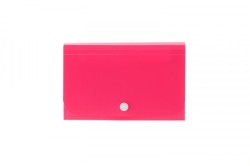 Teczka z przegródkami Tetis MINI organizer harmonijkowy na zatrzask 5903242102868 B6 kolor: różowa (BT613-R  różowy)