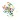 Pinezki Starpak do tablicy kolor: mix 50 szt (536855)