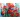 Zestaw kreatywny Flamingo Diamentowa mozaika 30x40cm Maki (TBS01884-2)
