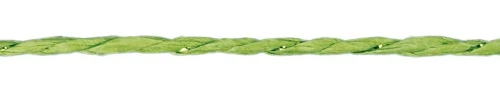 Sznurek Titanum Craft-Fun Series papierowy 10m (24BR0201-15（green))