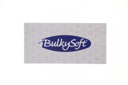 Chusteczki higieniczne Harmony Bulkysoft 100 szt