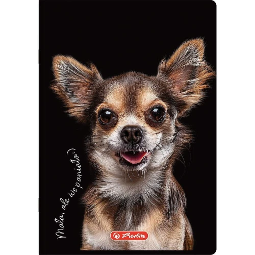 Zeszyt Herlitz Crazy Animal A5 60k. 70g krata (400196837)