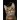 Zeszyt Herlitz Crazy Animal A4 60k. 70g krata (400196844)