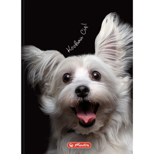 Brulion Herlitz Crazy Animal A6 80k. 70g krata (400196850)