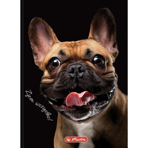 Brulion Herlitz Crazy Animal A6 80k. 70g krata (400196850)