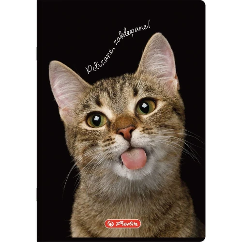 Zeszyt Herlitz Crazy Animal A5 16k. 70g krata kolorowa (400196855)