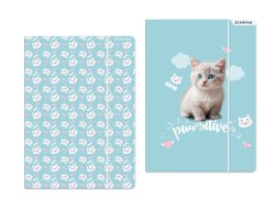Teczka kartonowa na gumkę Kitty A4 mix Starpak (553545)