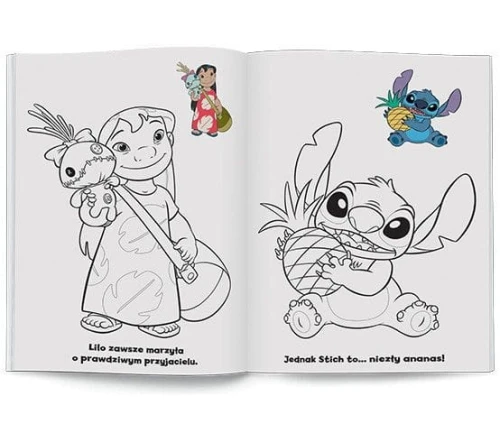 Książka dla dzieci Ameet Stich. Naklejam i Koloruję (NAK 9115)