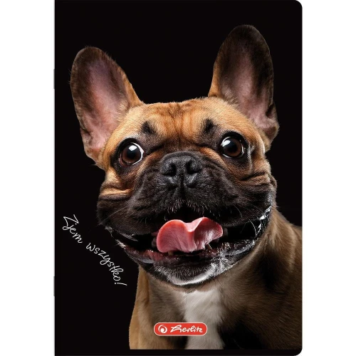 Zeszyt Herlitz Do Słówek Crazy Animal A6 16k. 70g kratka (400196842)