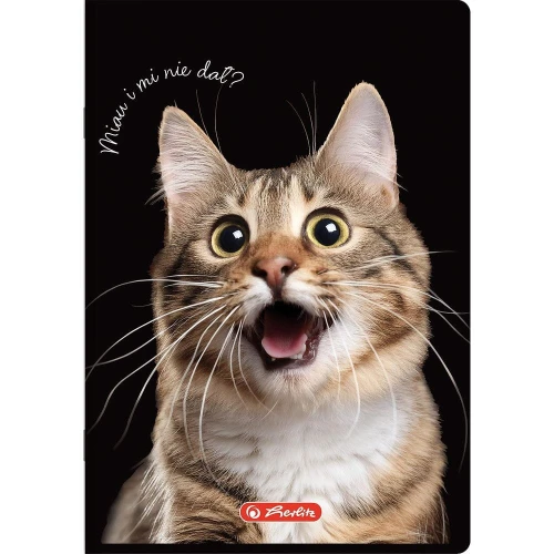 Zeszyt Herlitz Do Słówek Crazy Animal A6 16k. 70g kratka (400196842)