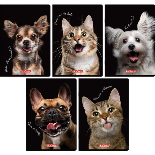 Zeszyt Herlitz Do Słówek Crazy Animal A6 32k. 70g kratka (400196843)