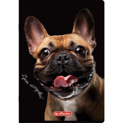 Zeszyt Herlitz Do Słówek Crazy Animal A6 32k. 70g kratka (400196843)