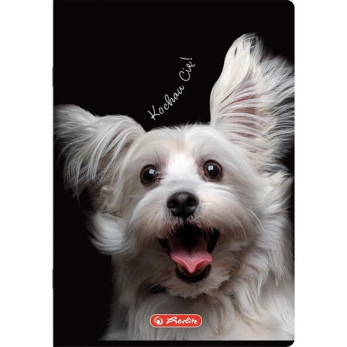 Zeszyt Herlitz Do Słówek Crazy Animal A6 32k. 70g kratka (400196843)