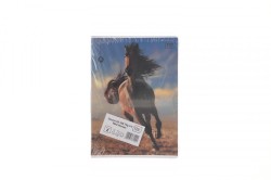 Zeszyt Interdruk WILD HORSES A5 32k. 70g krata