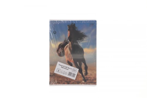 Zeszyt Interdruk WILD HORSES A5 32k. 70g krata