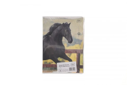 Zeszyt Interdruk WILD HORSES A5 32k. 70g linia kolor