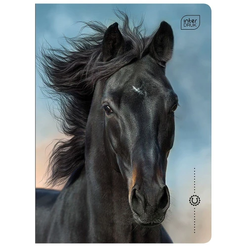 Zeszyt Interdruk WILD HORSES A5 16k. 70g linia kolor