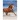 Zeszyt Interdruk WILD HORSES A5 16k. 70g linia kolor