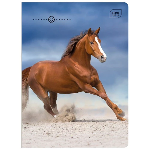 Zeszyt Interdruk WILD HORSES A5 16k. 70g linia kolor