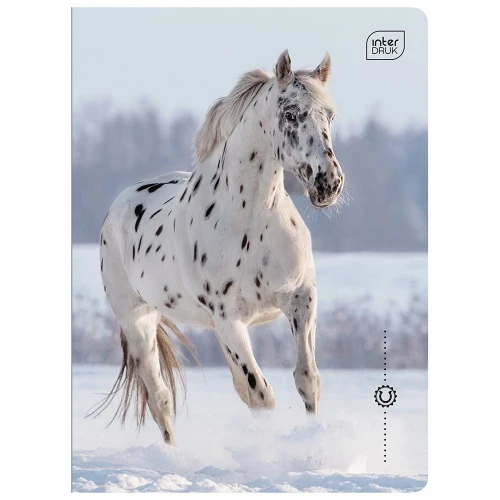 Zeszyt Interdruk WILD HORSES A5 16k. 70g linia kolor