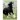 Zeszyt Interdruk A5 32k. 70g trzy linie