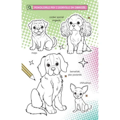 Książka dla dzieci Supermodelki z naklejkami. Kolorowanka przyjaciółki zwierząt