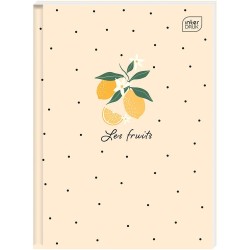 Brulion Interdruk HYBRID PT A5 80k. 70g krata