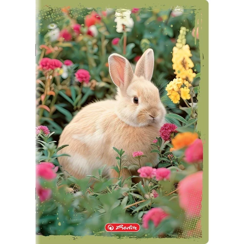 Zeszyt Animals A5 16k. 70g gładki Herlitz (400196854)