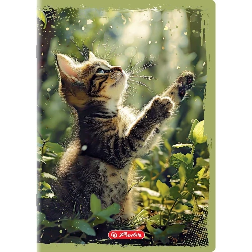 Zeszyt Animals A5 16k. 70g gładki Herlitz (400196854)