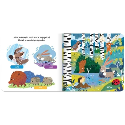 Książka dla dzieci Raz, dwa, trzy – szukam! W lesie