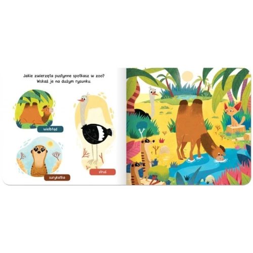 Książka dla dzieci Raz, dwa, trzy – szukam! W zoo