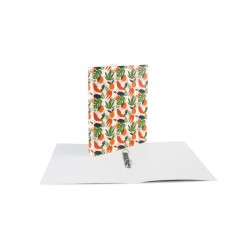 Segregator ringowy TROPICAL A4 mix Biurfol (SEN-A4-43)