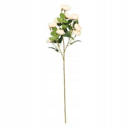 Kwiaty bukiet pełnik 67cm kremowy Home And Garden (2652)