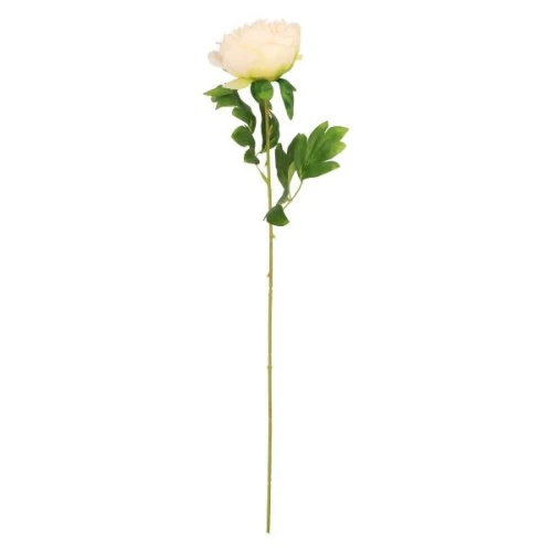 Kwiaty piwonia 60cm kremowa Home And Garden (1792)