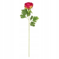 Kwiaty piwonia 60cm czerwona Home And Garden (1822)