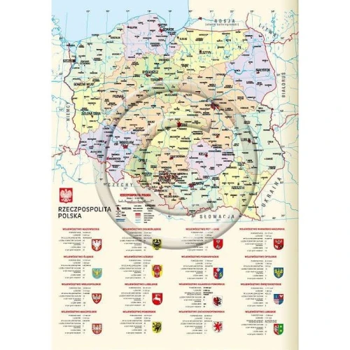 Kalendarz książkowy (terminarz) mix vivella kieszonkowy A6 Lucrum (11T)