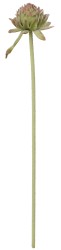 Kwiaty karczoch 60cm Home And Garden (8219)
